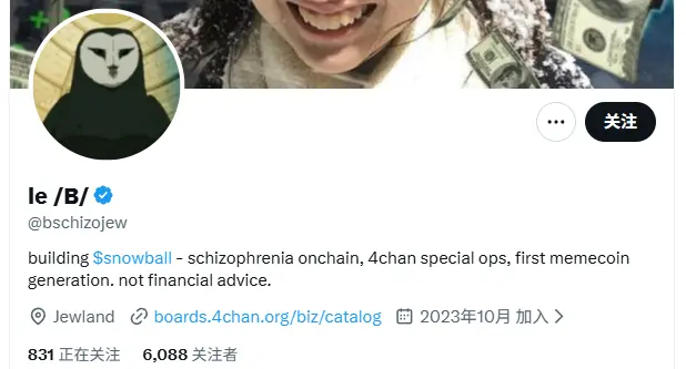 Información del equipo de Snowball